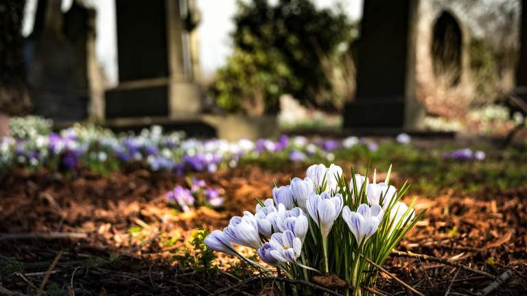 Have Questions About Wrongful Death? We’re Here to Help.